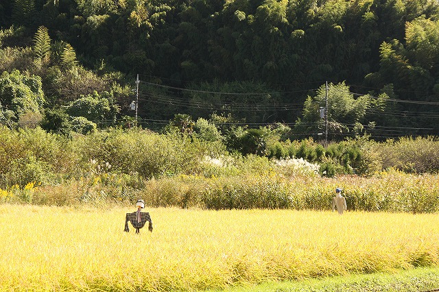 f:id:yuuko1220:20161021165408j:plain f:id:yuuko1220:20161021165408j:plain