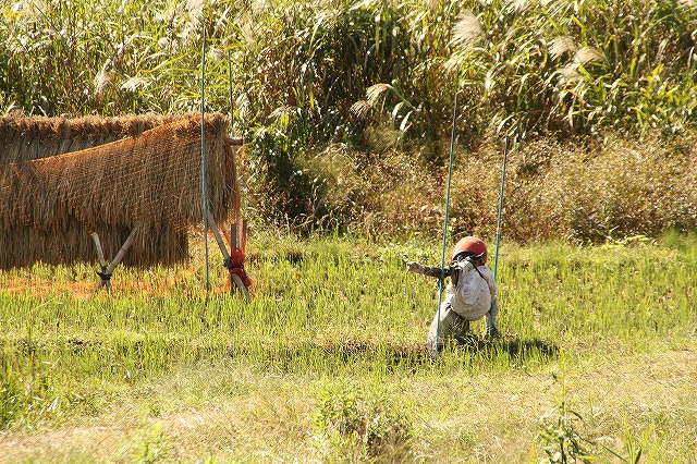 f:id:yuuko1220:20161021165410j:plain f:id:yuuko1220:20161021165410j:plain