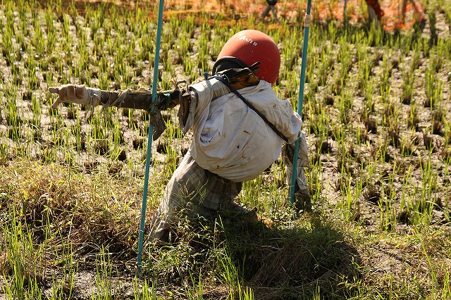 f:id:yuuko1220:20161021165411j:plain