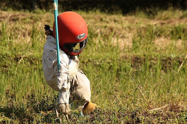 f:id:yuuko1220:20161021165412j:plain f:id:yuuko1220:20161021165412j:plain