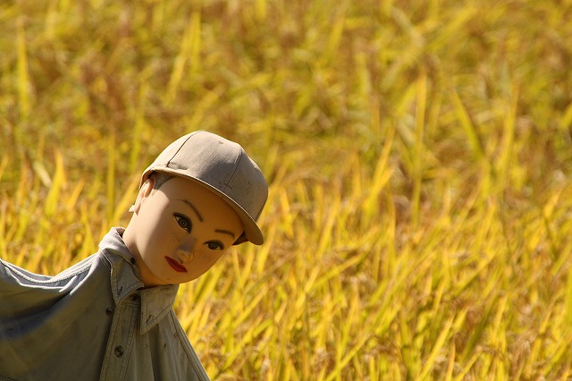 f:id:yuuko1220:20161021165417j:plain f:id:yuuko1220:20161021165417j:plain