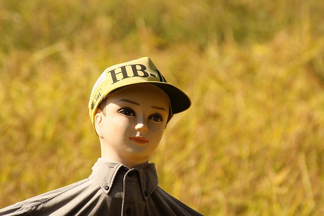 f:id:yuuko1220:20161021165420j:plain f:id:yuuko1220:20161021165420j:plain