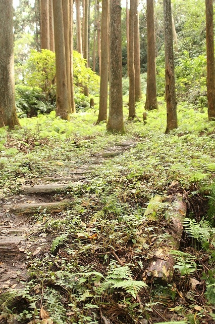 f:id:yuuko1220:20161102164027j:plain