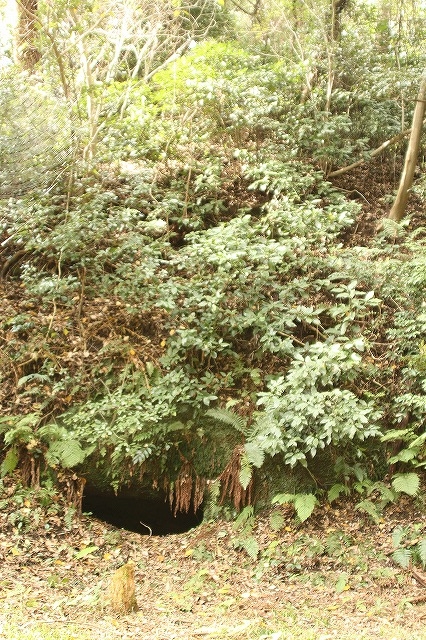 f:id:yuuko1220:20161102164029j:plain