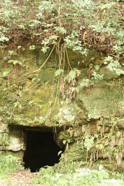 f:id:yuuko1220:20161102164034j:plain