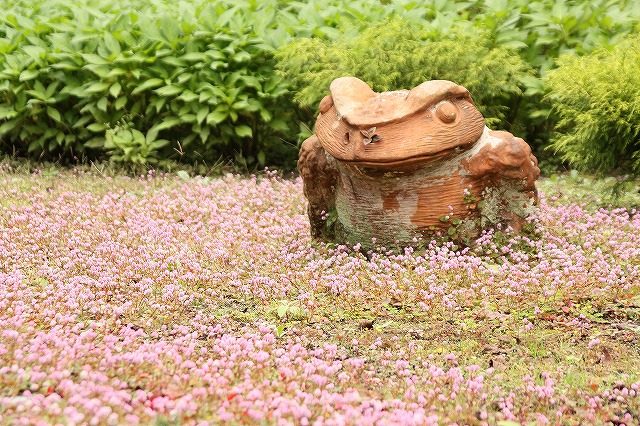 f:id:yuuko1220:20161102164037j:plain