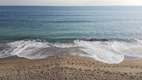 f:id:yuuko1220:20161104203740j:plain