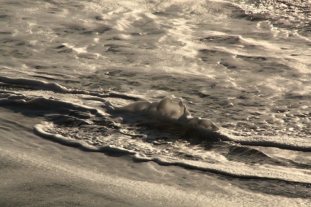 f:id:yuuko1220:20161104214737j:plain