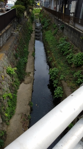 f:id:yuuko1220:20161111211909j:plain