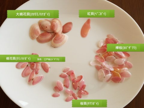 f:id:yuuko1220:20170417160144j:plain
