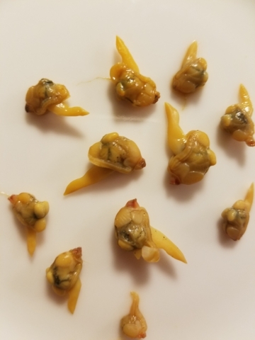 f:id:yuuko1220:20170602223538j:plain f:id:yuuko1220:20170602223538j:plain