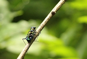 f:id:yuuko1220:20170604094226j:plain f:id:yuuko1220:20170604094226j:plain