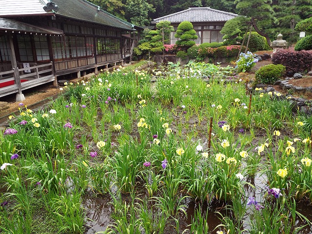 f:id:yuuko1220:20170608133553j:plain f:id:yuuko1220:20170608133553j:plain