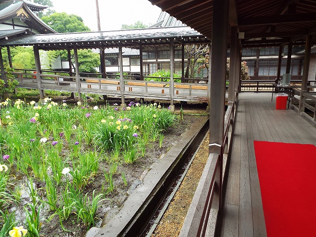 f:id:yuuko1220:20170608133555j:plain f:id:yuuko1220:20170608133555j:plain