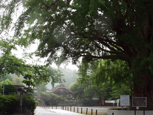 f:id:yuuko1220:20170608133600j:plain f:id:yuuko1220:20170608133600j:plain