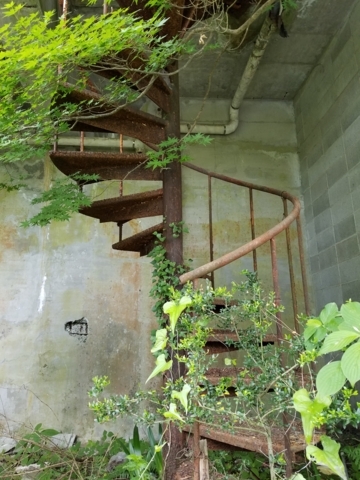 f:id:yuuko1220:20170614213019j:plain f:id:yuuko1220:20170614213019j:plain