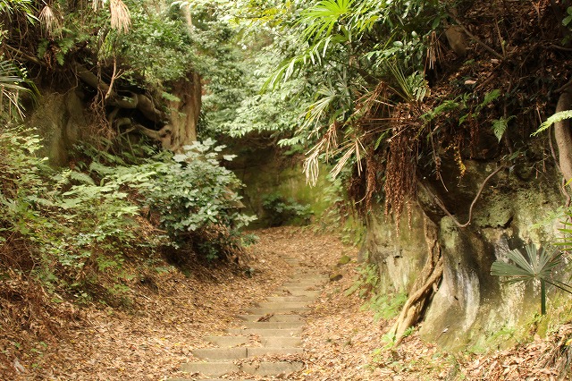 f:id:yuuko1220:20171002134915j:plain