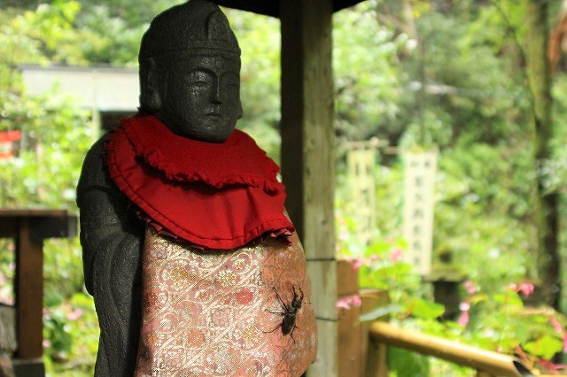 f:id:yuuko1220:20171005135351j:plain f:id:yuuko1220:20171005135351j:plain