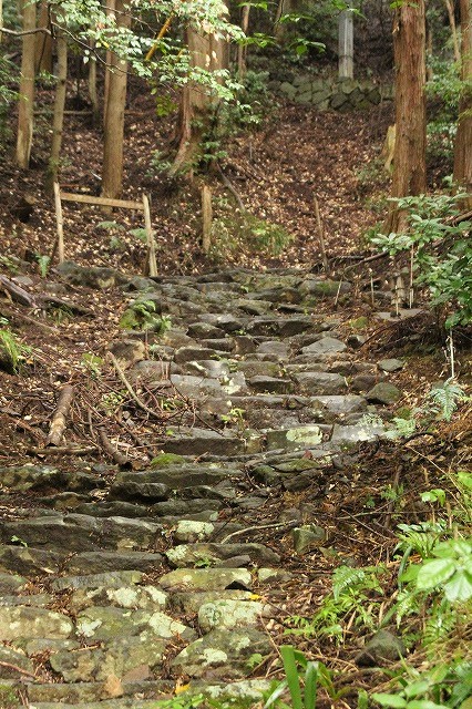 f:id:yuuko1220:20171005135356j:plain f:id:yuuko1220:20171005135356j:plain