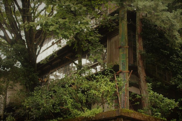 f:id:yuuko1220:20171006220547j:plain