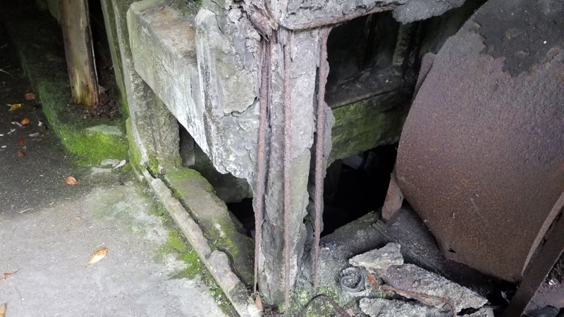 f:id:yuuko1220:20171007212025j:plain f:id:yuuko1220:20171007212025j:plain