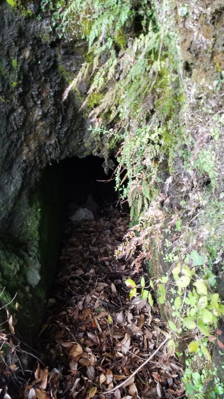 f:id:yuuko1220:20171007212056j:plain f:id:yuuko1220:20171007212056j:plain