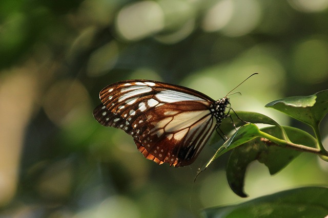 f:id:yuuko1220:20171011193546j:plain f:id:yuuko1220:20171011193546j:plain