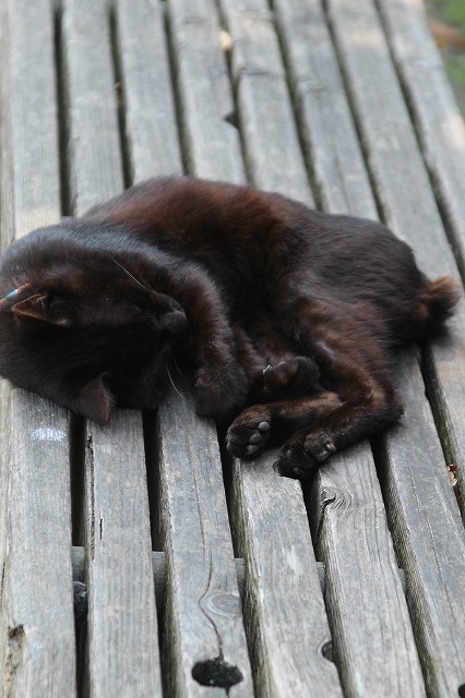 f:id:yuuko1220:20171011213527j:plain f:id:yuuko1220:20171011213527j:plain