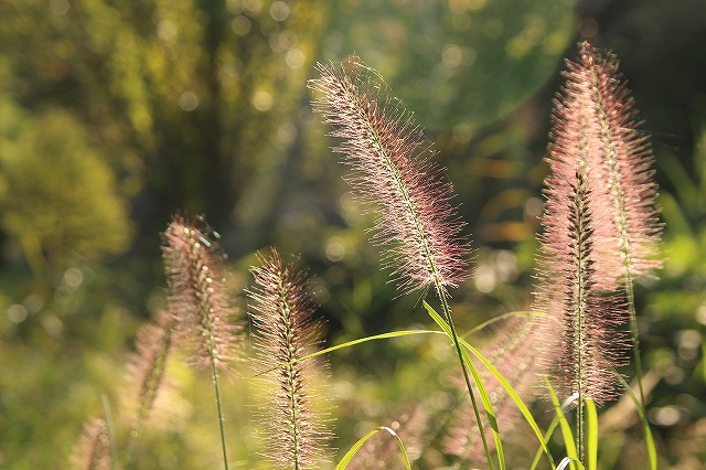 f:id:yuuko1220:20171012082959j:plain f:id:yuuko1220:20171012082959j:plain