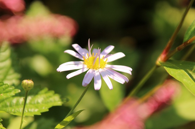 f:id:yuuko1220:20171012085046j:plain f:id:yuuko1220:20171012085046j:plain