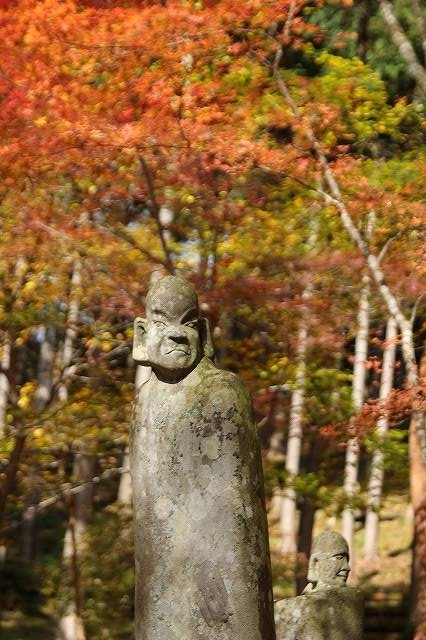f:id:yuuko1220:20171115210317j:plain