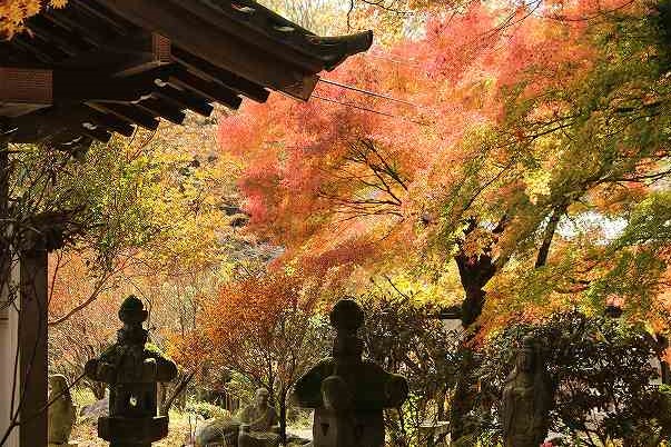f:id:yuuko1220:20171115210324j:plain