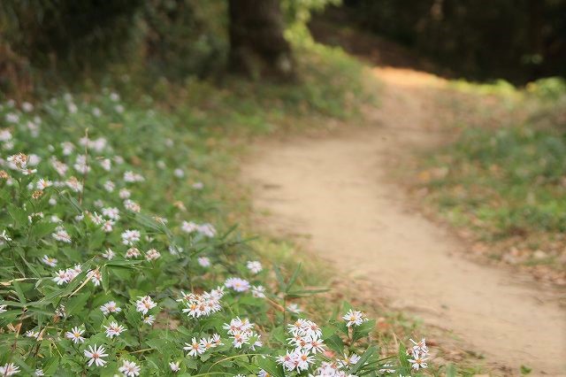 f:id:yuuko1220:20171123090038j:plain