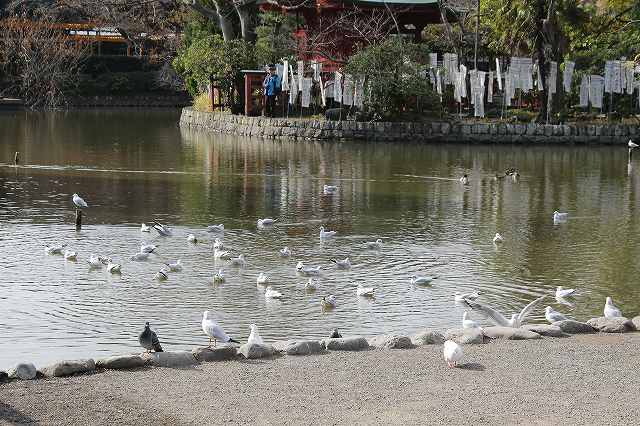 f:id:yuuko1220:20171123090046j:plain