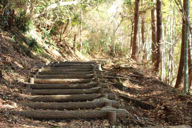 f:id:yuuko1220:20180111142026j:plain f:id:yuuko1220:20180111142026j:plain