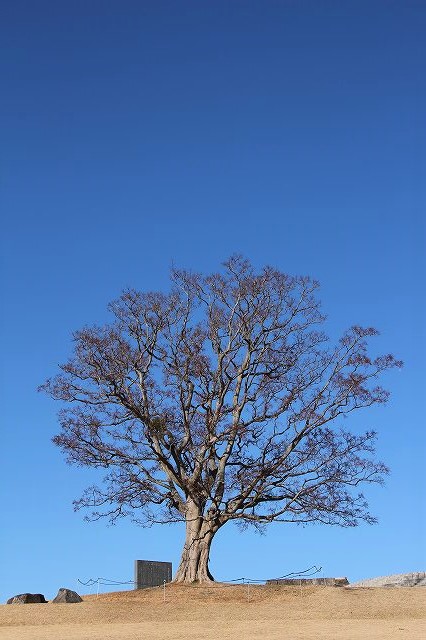 f:id:yuuko1220:20180111142032j:plain f:id:yuuko1220:20180111142032j:plain