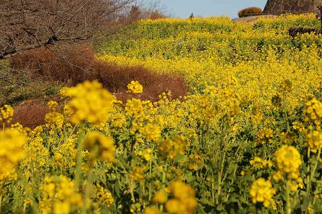 f:id:yuuko1220:20180111142039j:plain f:id:yuuko1220:20180111142039j:plain