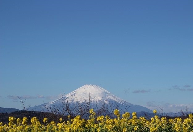 f:id:yuuko1220:20180112194952j:plain f:id:yuuko1220:20180112194952j:plain