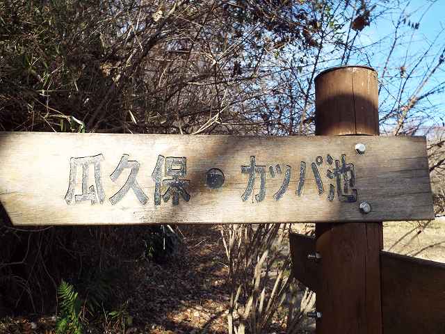 f:id:yuuko1220:20180115140242j:plain