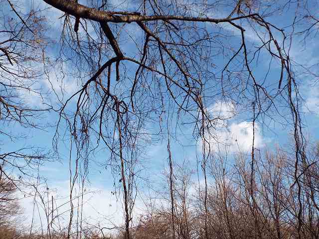 f:id:yuuko1220:20180115140243j:plain