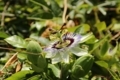 20180602220834
