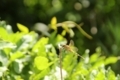 20180602220835