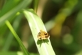 20180602220837
