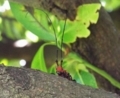 20180603215401