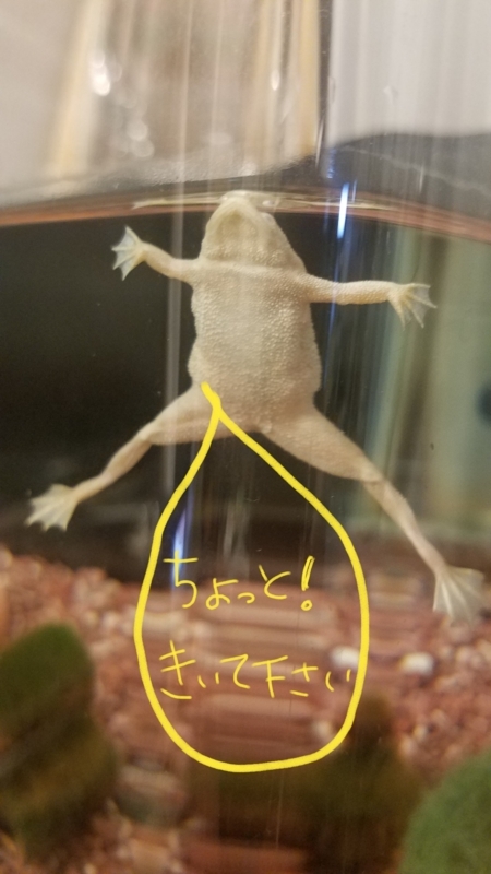 20180628151930