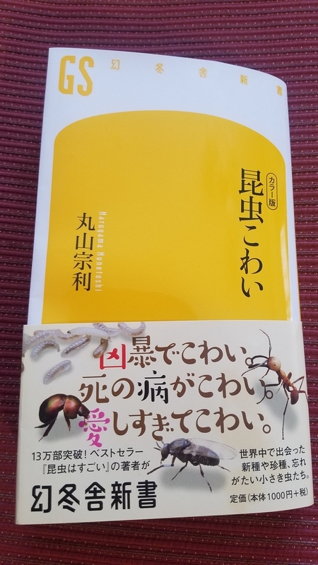 f:id:yuuko1220:20180911160132j:plain f:id:yuuko1220:20180911160132j:plain