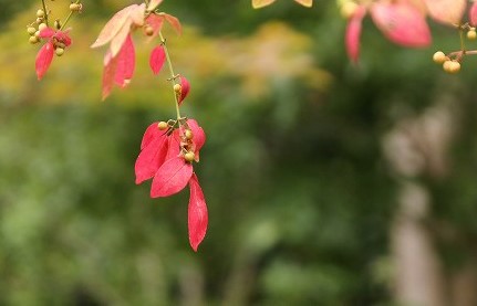 f:id:yuuko1220:20180927141741j:plain f:id:yuuko1220:20180927141741j:plain