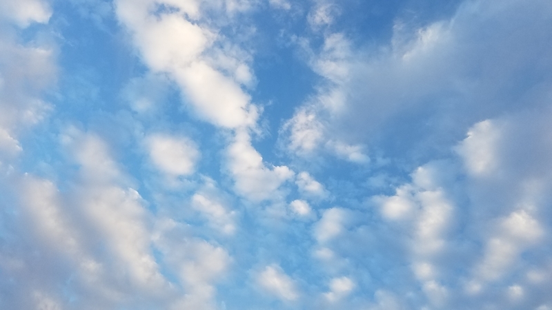 f:id:yuuko1220:20180927201141j:plain f:id:yuuko1220:20180927201141j:plain