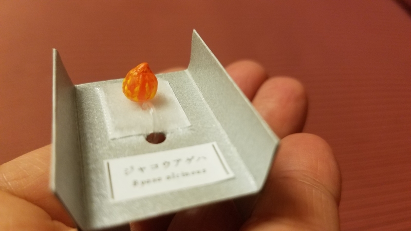f:id:yuuko1220:20181007085148j:plain f:id:yuuko1220:20181007085148j:plain