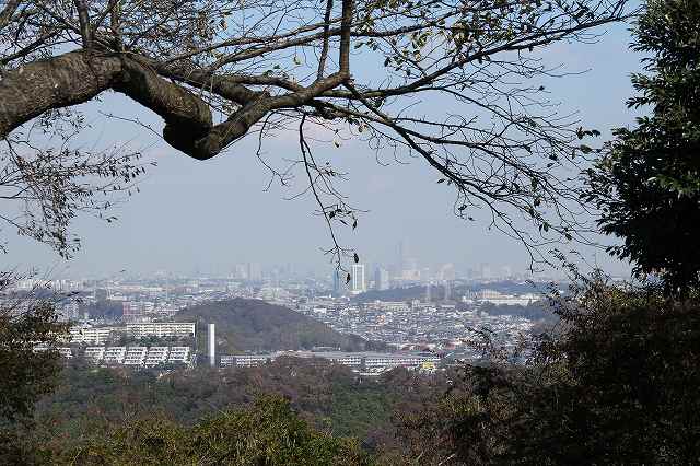 f:id:yuuko1220:20181011103435j:plain f:id:yuuko1220:20181011103435j:plain